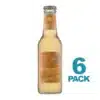 Baladin Agrumata 6Pack